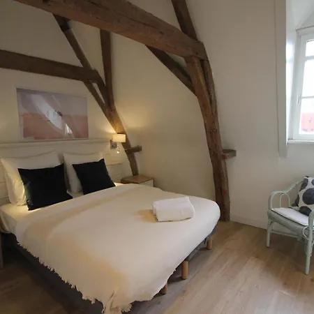 Apartment In The Heart Of Central Nice Functional And Cozy Ap For 5pers *